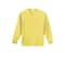 Port & Company® Color Long Sleeve Essential T-Shirt